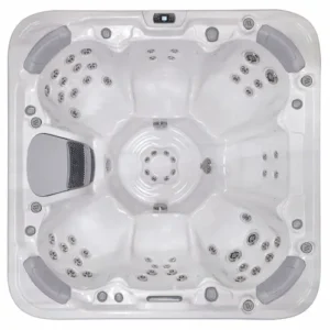 Libra Hot Tub for Sale in Madison